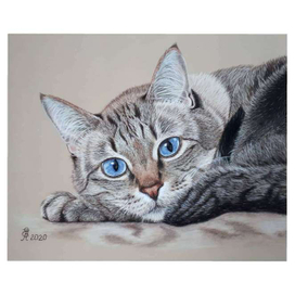 Портрет кота