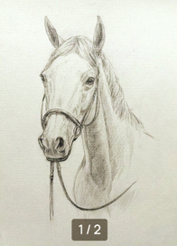 Белый конь.