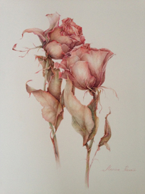 Увядшие розы...