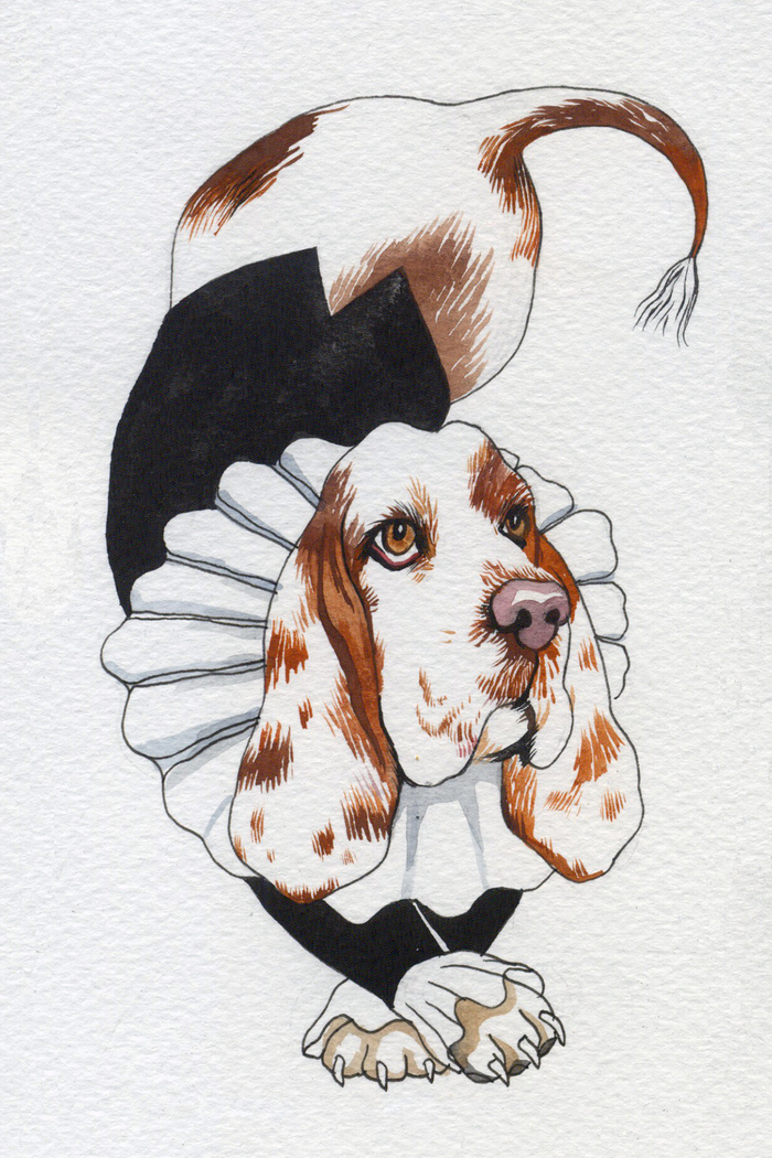 Бассет-Хаунд Уильям