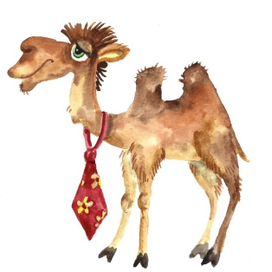 Верблюд Стиляга