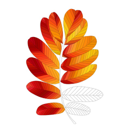 Осенний лист графика