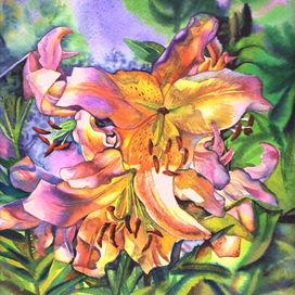 лилии на солнце