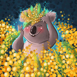 Коала в мимозе