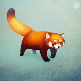 Красная панда