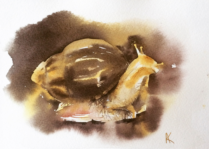 Карамельная улитка