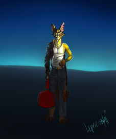 Красная сумка