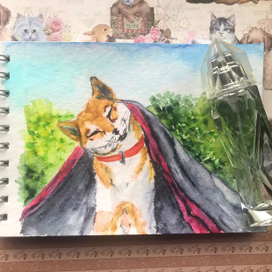 Сиба под одеялком