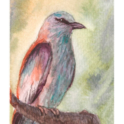 Лесная птица