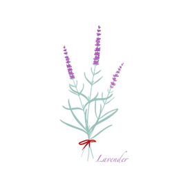 Лаванда