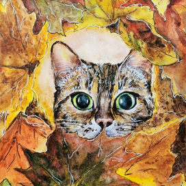 Котик в листьях