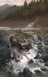 Дж.Лондон "Белый клык" первые шаги))