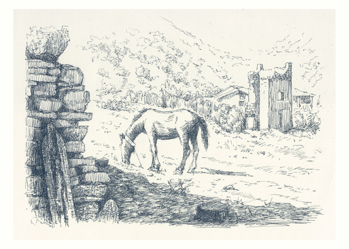 Судак. Лошадь и старая постройка