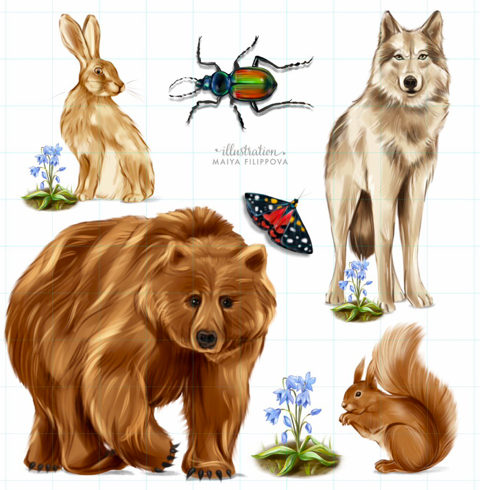 Иллюстрации для детских пособий