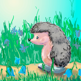 Одинокий Ёжик