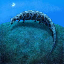 зверушка из картинки для Своего круга