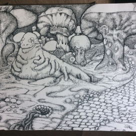 В стране чудес