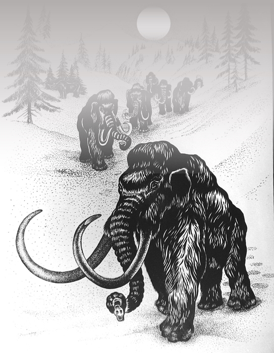 Снежный мамонт. Иллюстрации к книге. Алтай в кайнозойскую эру.