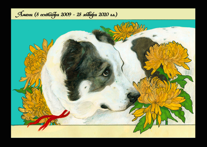 Памяти моей собаки