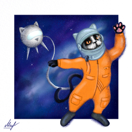 АСТРОКОШКА