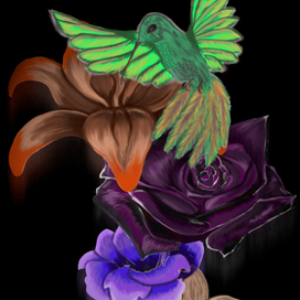 Колибри в цветах