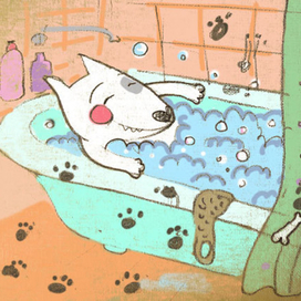 После прогулки