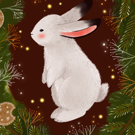 Зимние истории