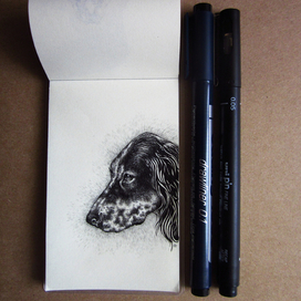 Англичанин