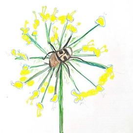 Жук на цветке