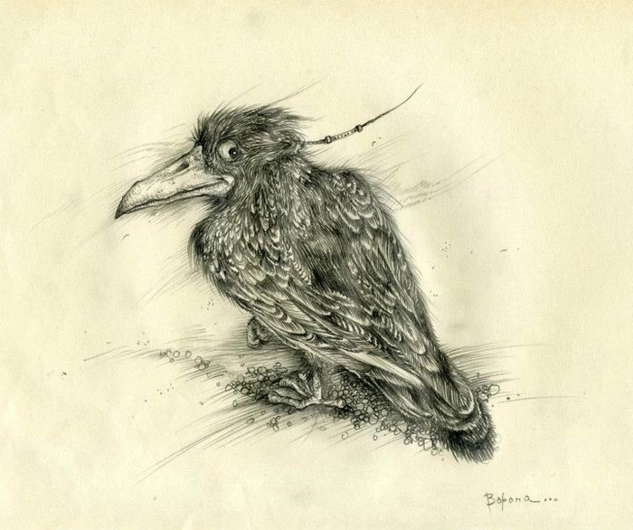 Иллюстрация к рассказу "Кафка" 