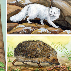 Колюче-летуче-пушистое