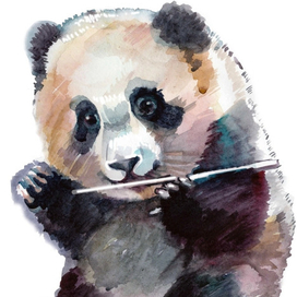 Панда для детской книжки