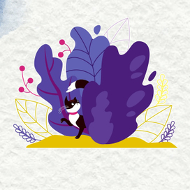 кот в стране неизвестного