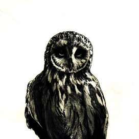 Совушка-сова.