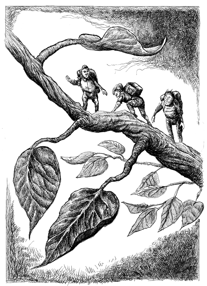 путешествие