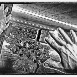 Иллюстрация к книге-Летаргия. В.Голдберг