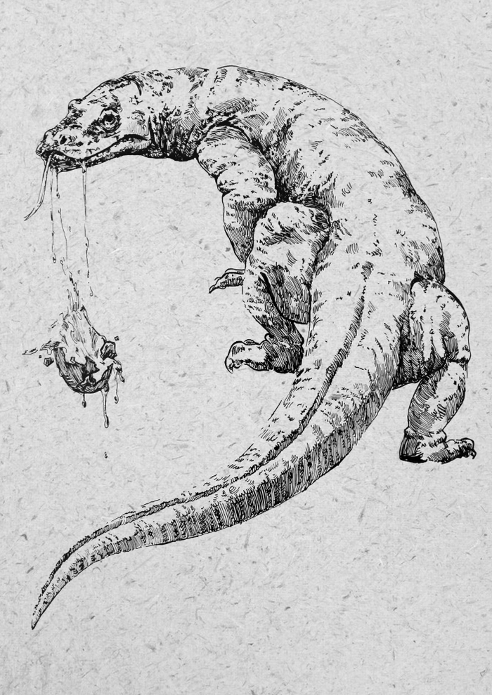 Варан поедающий яйцо 