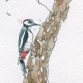 маленькие иллюстрации в тексте