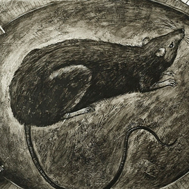 По мотивам рассказа Ф. Кафки "Тоска"