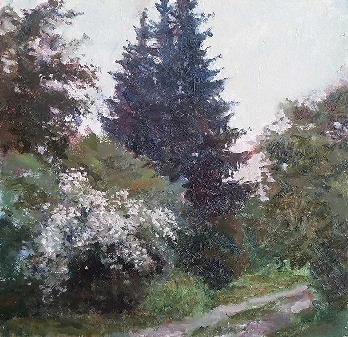 Чубушник цветёт.