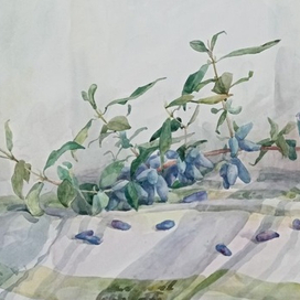 Первые ягоды