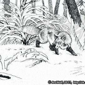 У мышиной норы