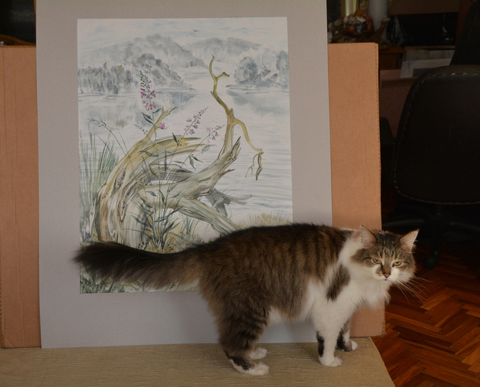 Решила сфотографировать работы. Сразу нашёлся помощник)))