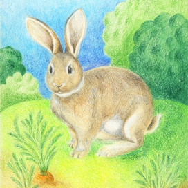 Кролик. Иллютрация для детской книги