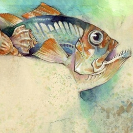 Диета Афродиты