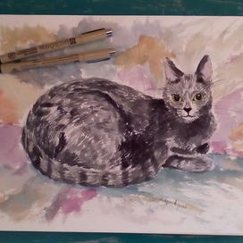 Анималистика, кошка