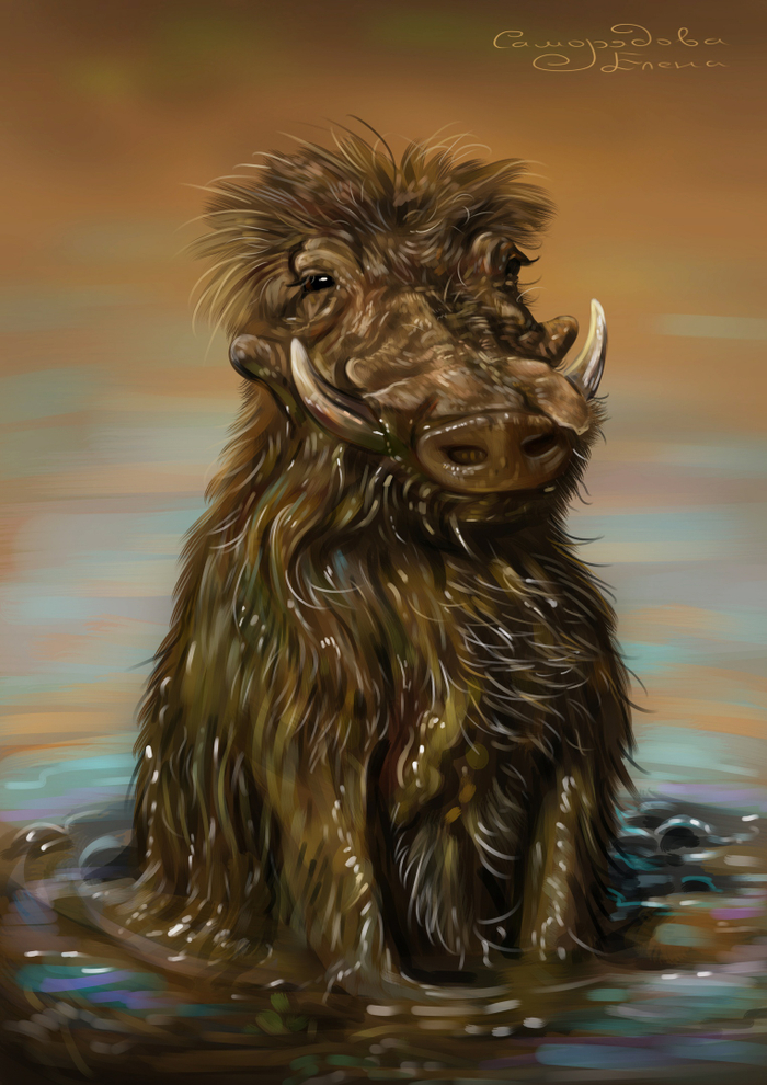 Довольный жизнью кабанчик