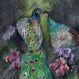 Павлин и пава