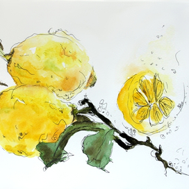 Watercolor illustration with fresh lemons