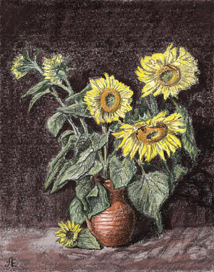 Зимнее солнце